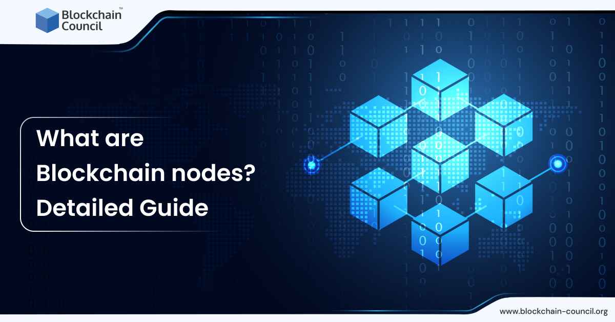 What are Blockchain nodes? Detailed Guide