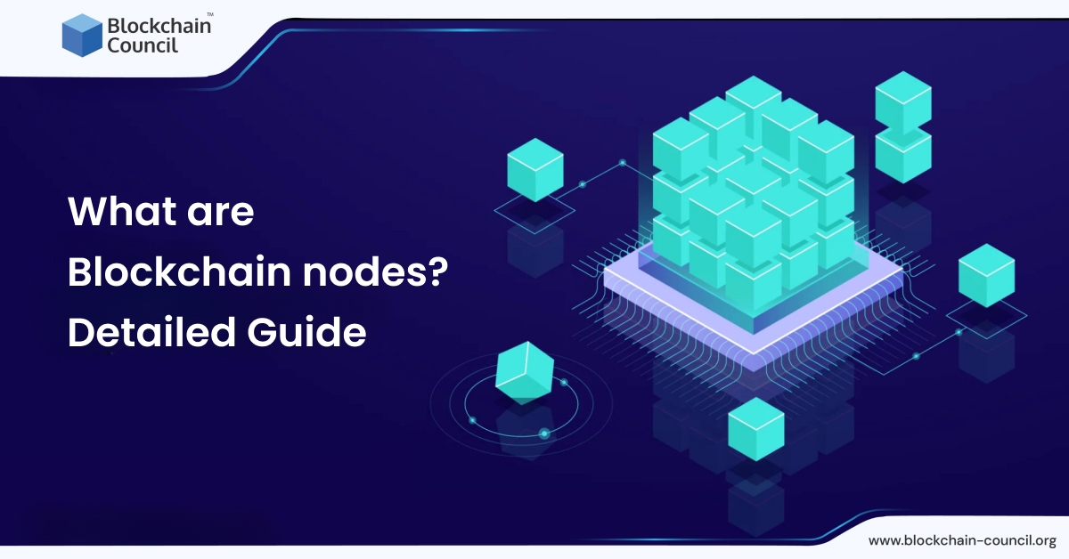 What are Blockchain nodes? Detailed Guide