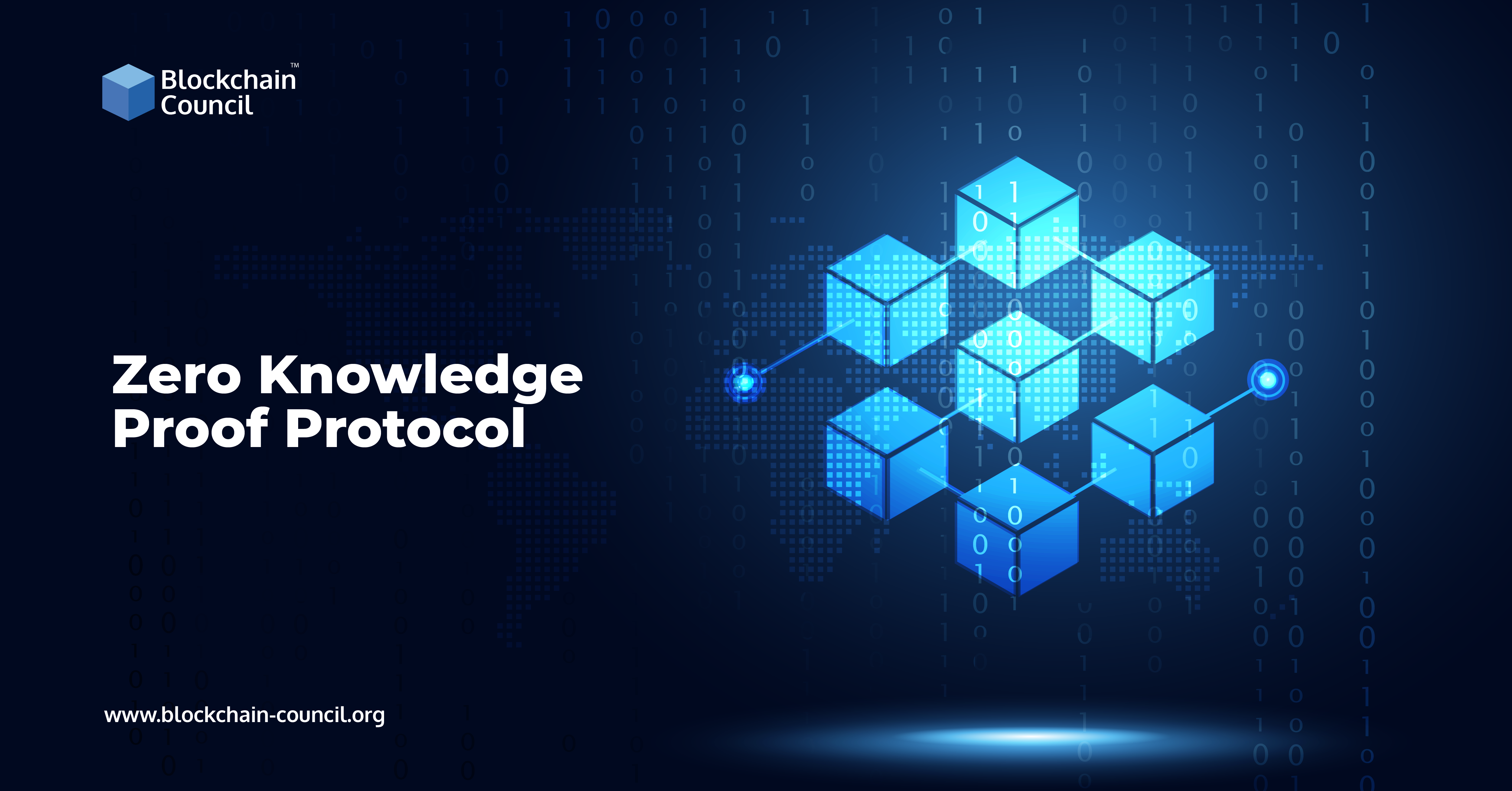 O que é Zero Knowledge Protocol (ZKP)?