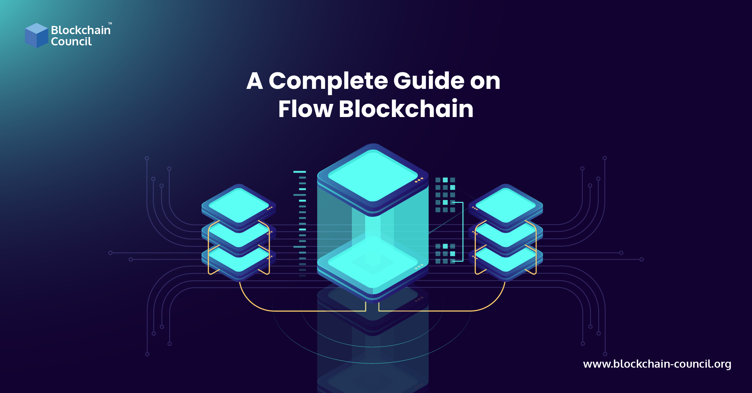 A Complete Guide on Flow Blockchain