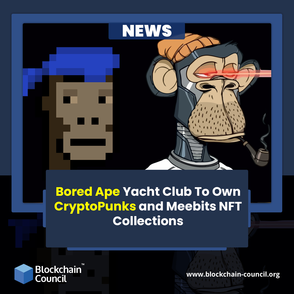 Bored Ape Yacht Club To Own CryptoPunks and Meebits NFT Collections