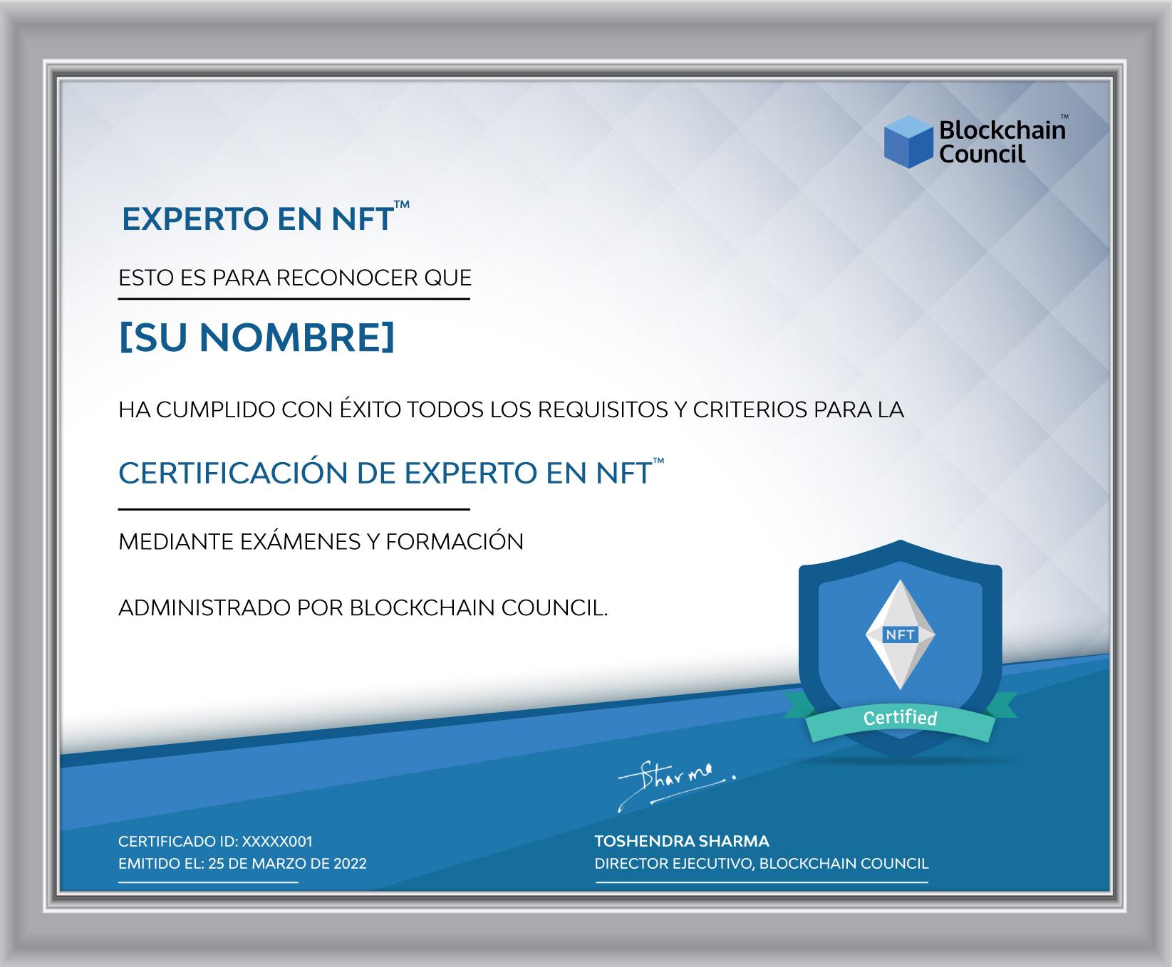 Experto Certificado en NFT™