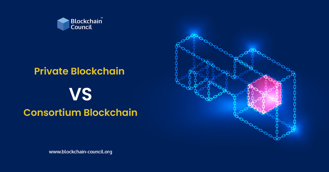 Private Blockchain vs. Consortium Blockchain: A Comparison Guide