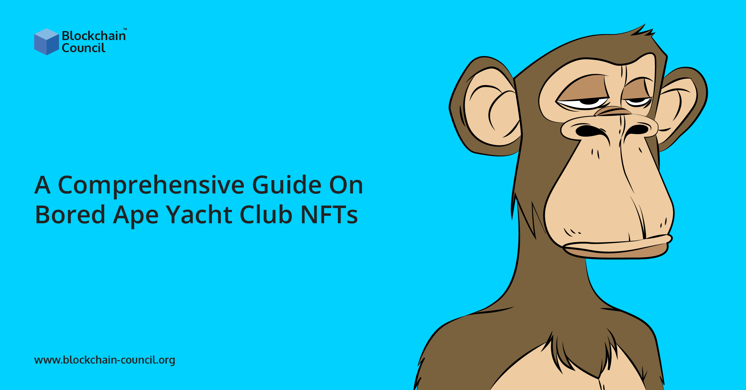 A Comprehensive Guide On Bored Ape Yacht Club NFTs