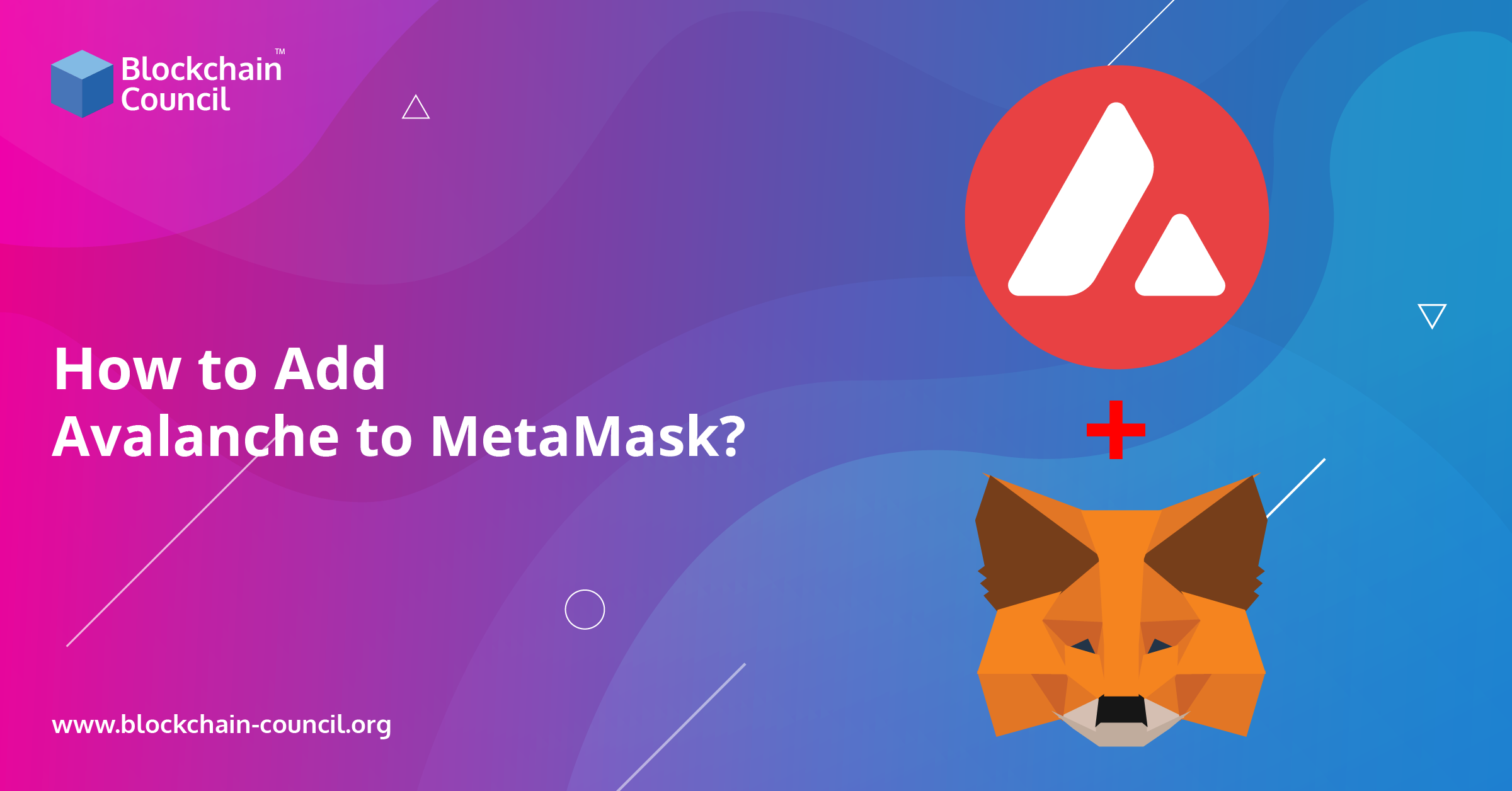 How to Add Avalanche to MetaMask?