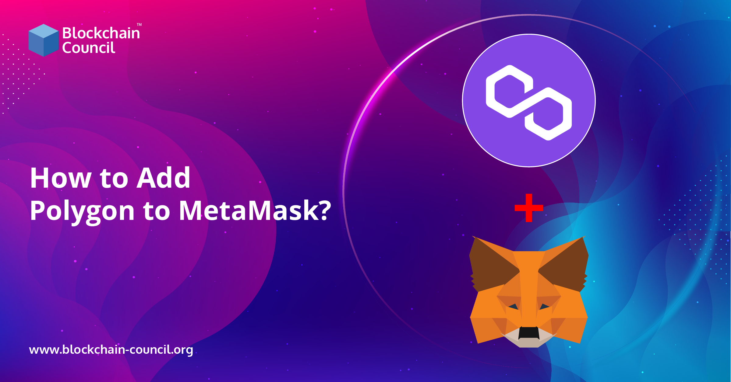 How to Add Polygon to MetaMask