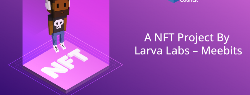 Meebits – A NFT Project By Larva Labs