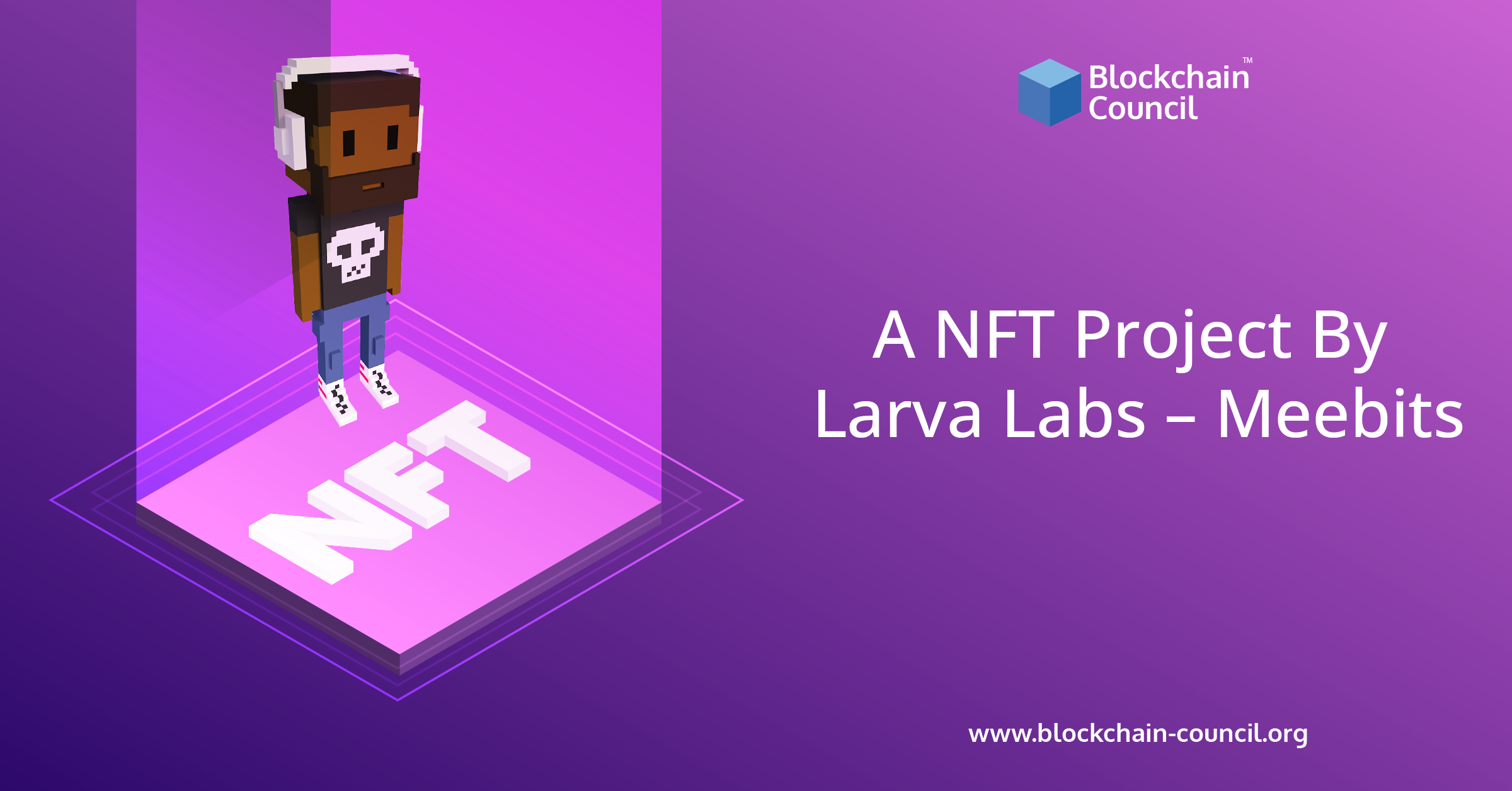 Meebits – A NFT Project By Larva Labs