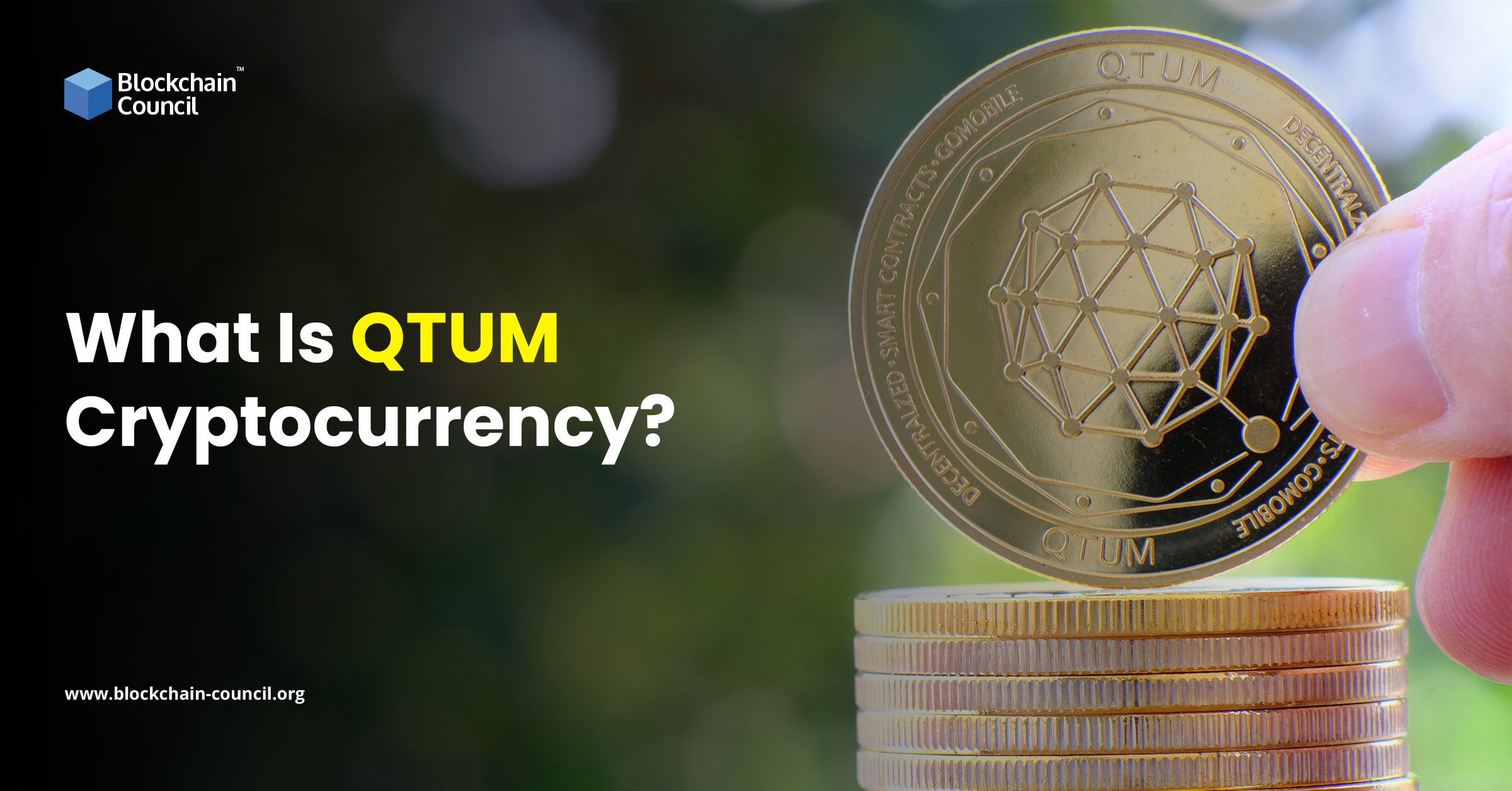 What Is QTUM Cryptocurrency