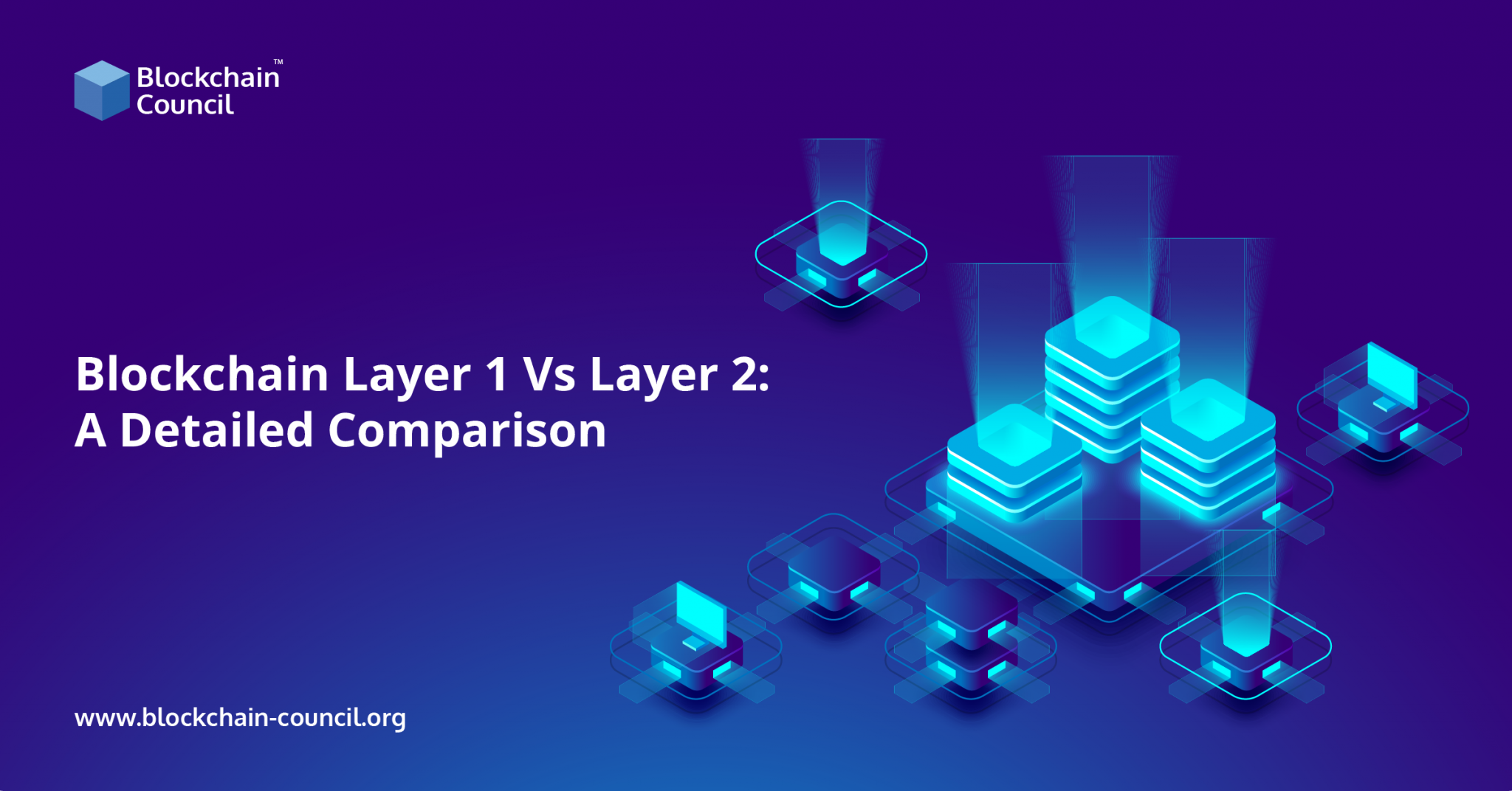 crypto layer 1 vs layer 2