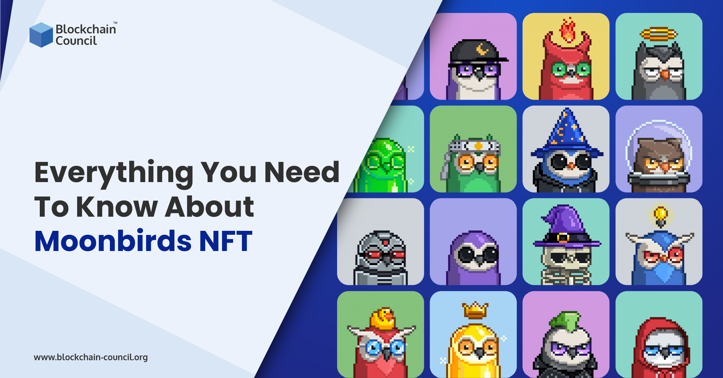 Everything You Need To Know About Moonbirds NFT