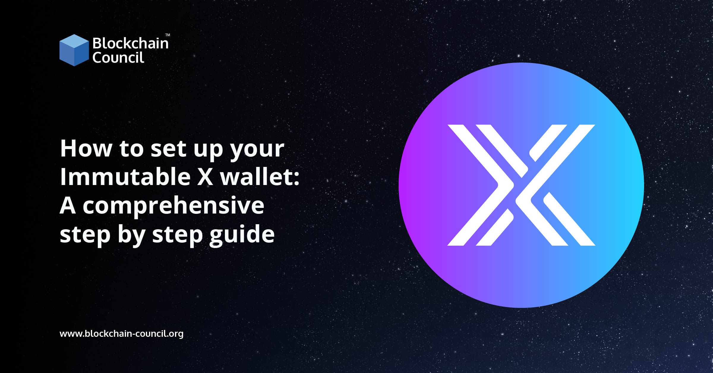 How to set up your Immutable X wallet A comprehensive step by step guide