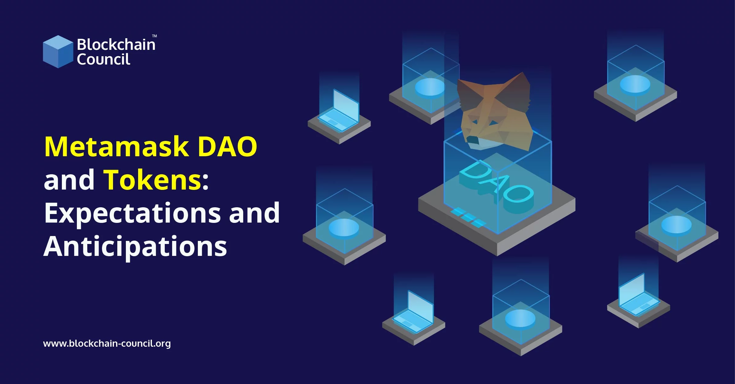 Metamask DAO and Tokens Expectations and Anticipations