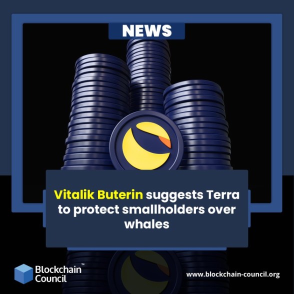 Vitalik Buterin suggests Terra to protect smallholders over big whales