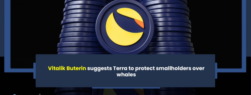 Vitalik Buterin suggests Terra to protect smallholders over big whales