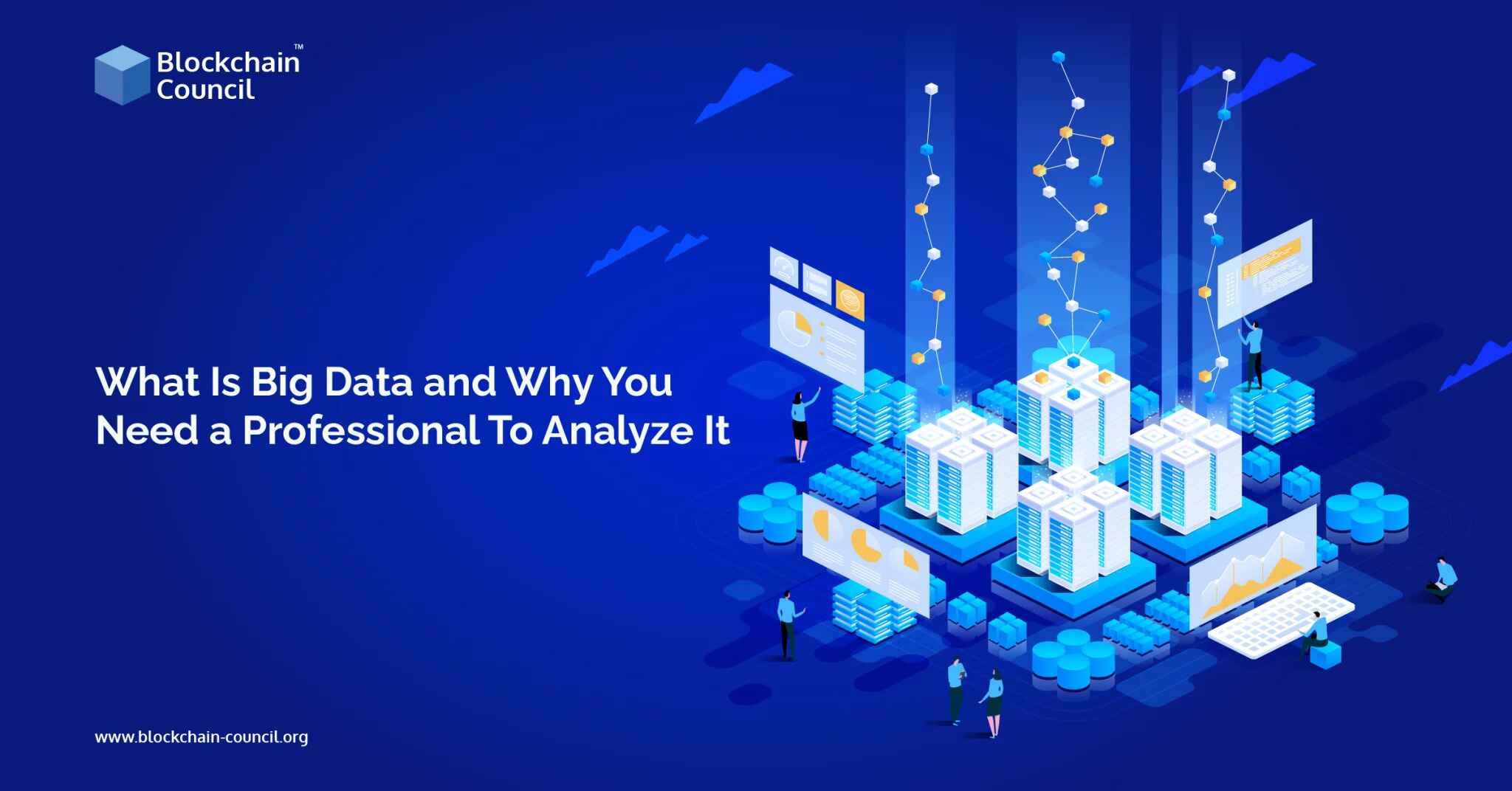 What Is Big Data and Why You Need a Professional To Analyze It