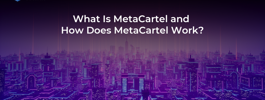 What Is MetaCartel and How Does MetaCartel Work