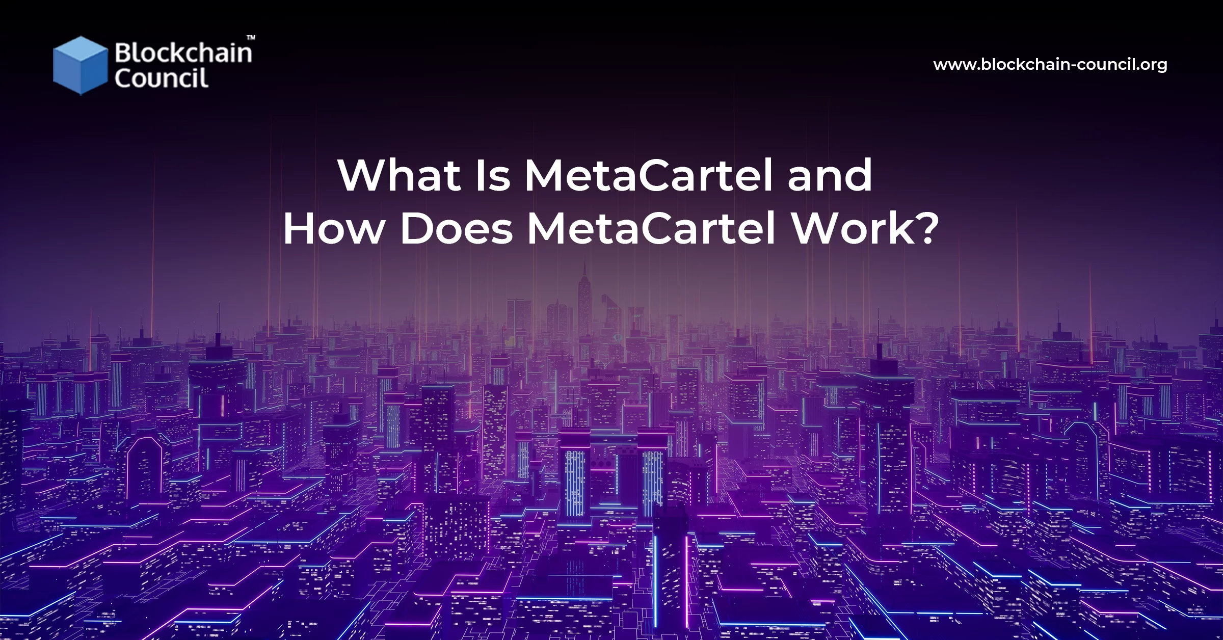 What Is MetaCartel and How Does MetaCartel Work