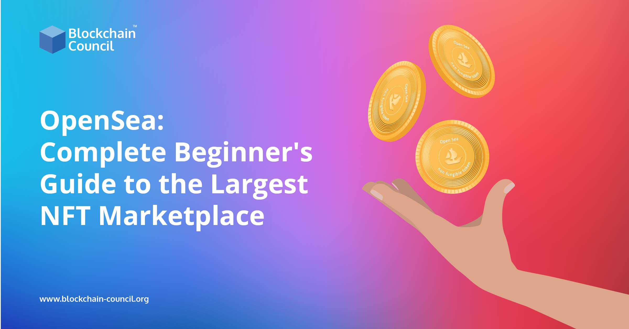 OpenSea: Complete Beginner’s Guide to the Largest NFT Marketplace