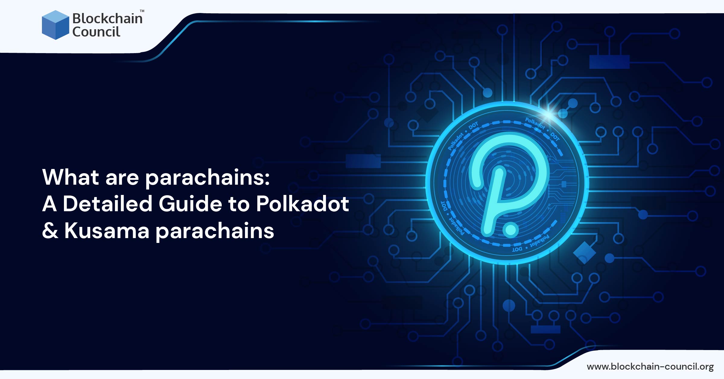 What are parachains A Detailed Guide to Polkadot & Kusama parachains