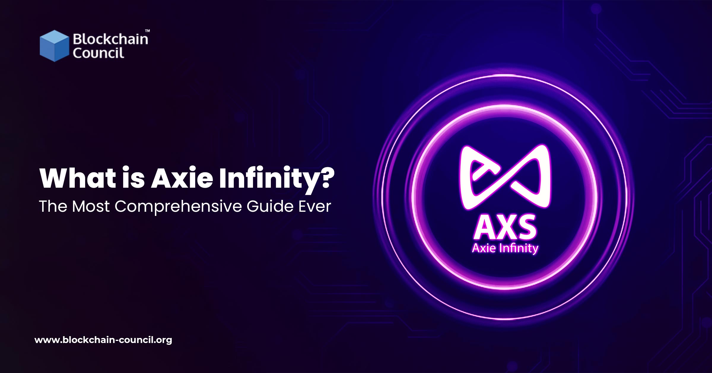 What is Axie Infinity? The Most Comprehensive Guide Ever