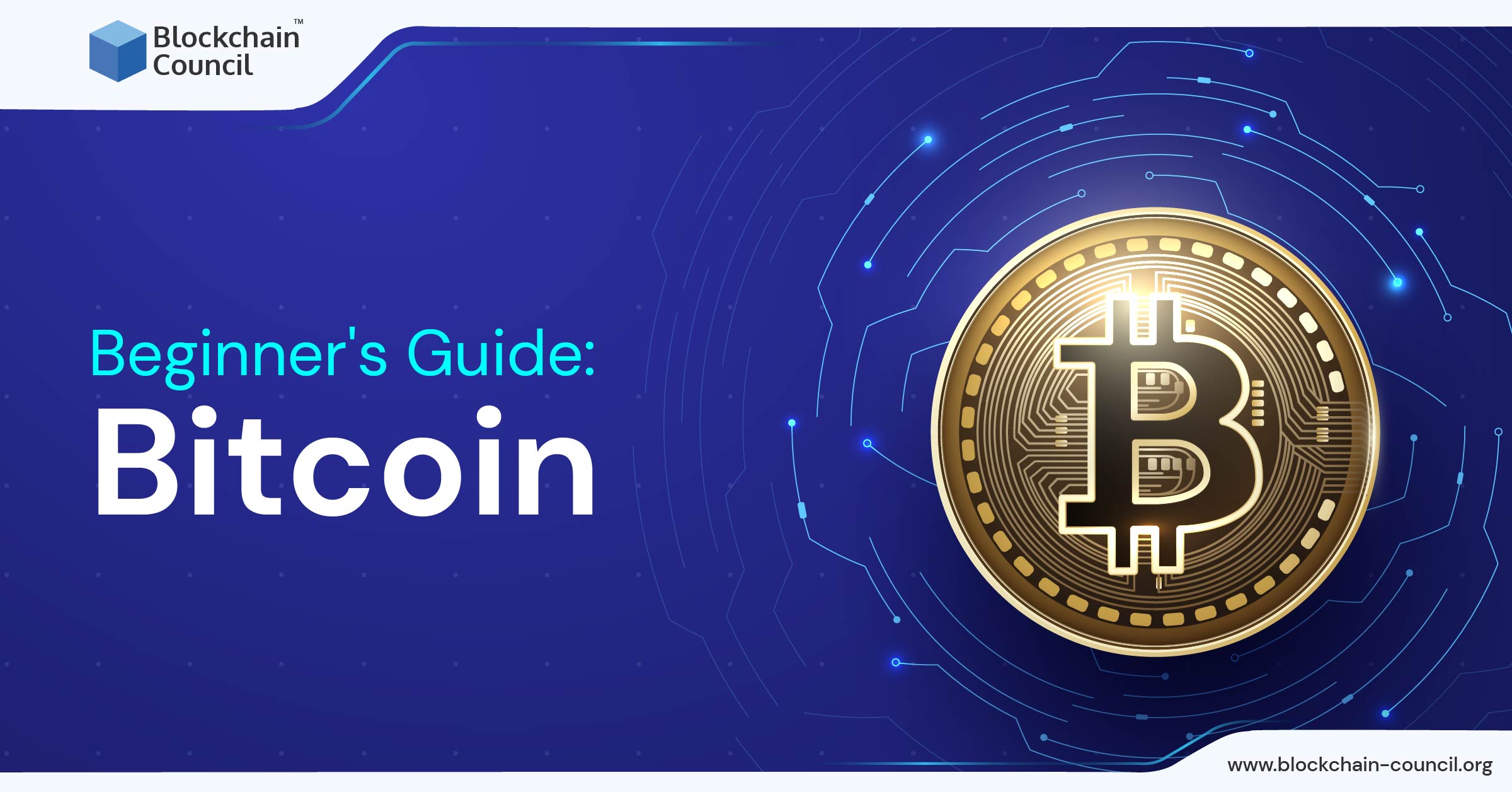 Beginner’s Guide: Bitcoin