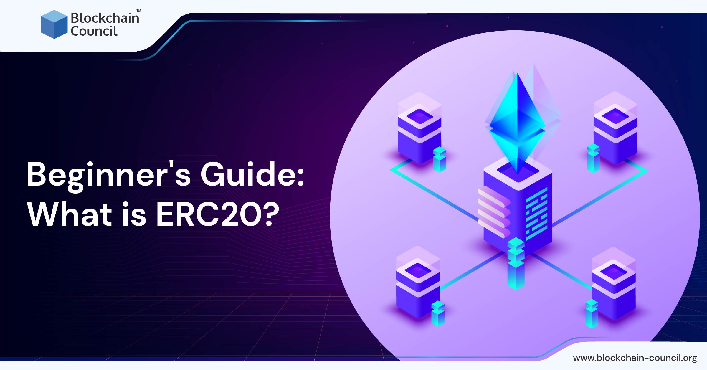 Beginner's Guide What is ERC20
