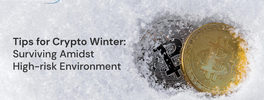 Tips for Crypto Winter Surviving Amidst High-risk Environment
