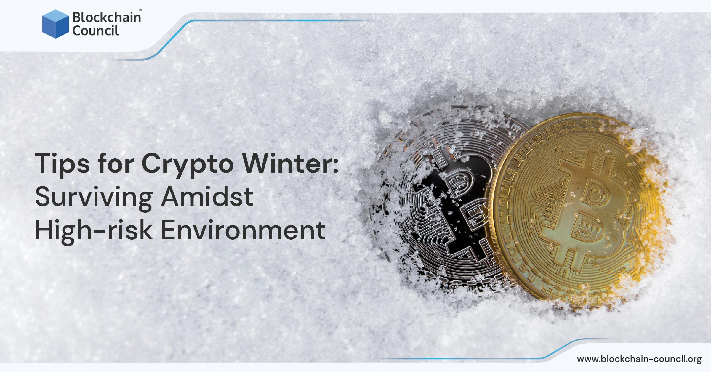 Tips for Crypto Winter Surviving Amidst High-risk Environment