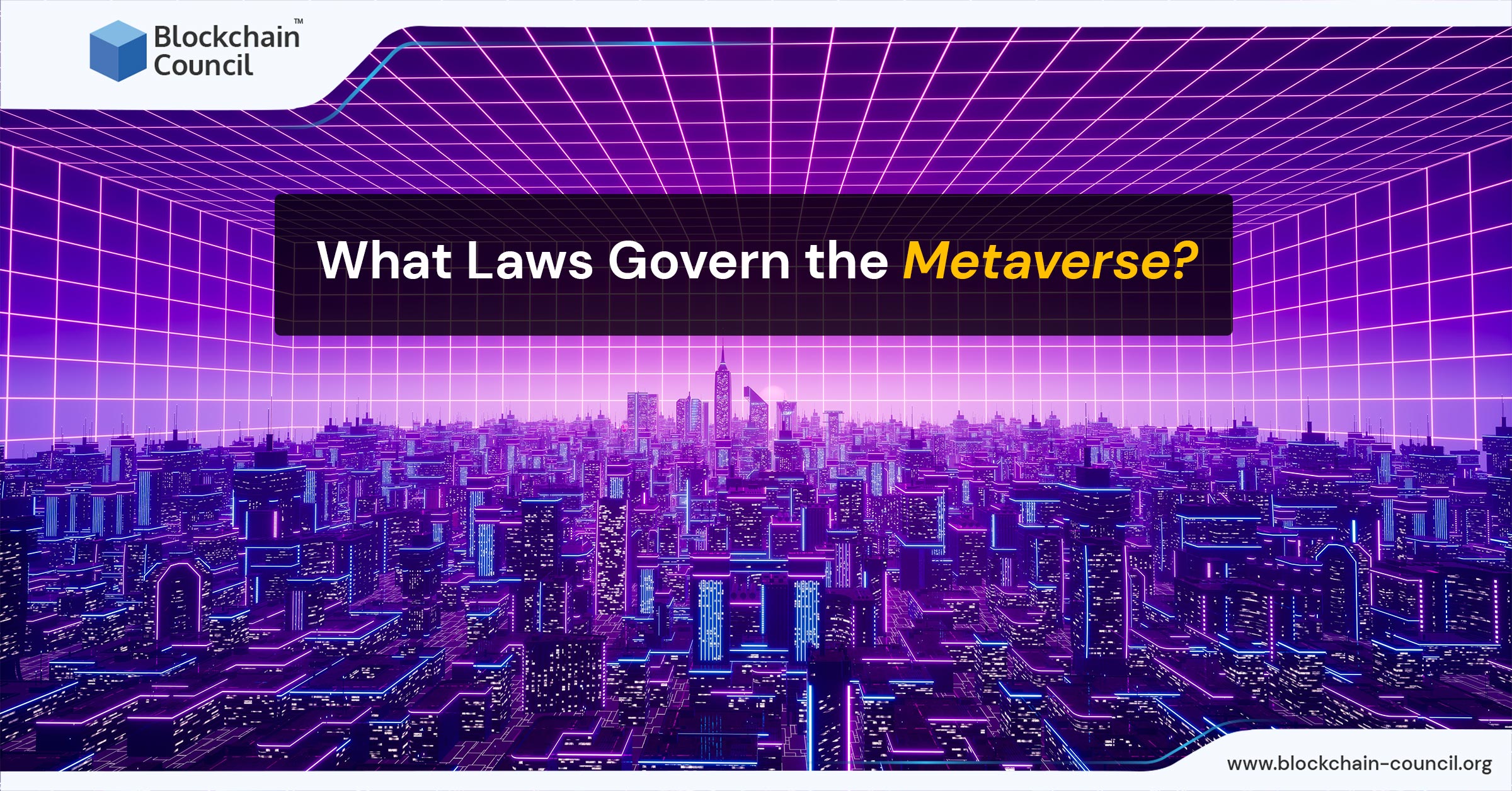 What Laws Govern the Metaverse?