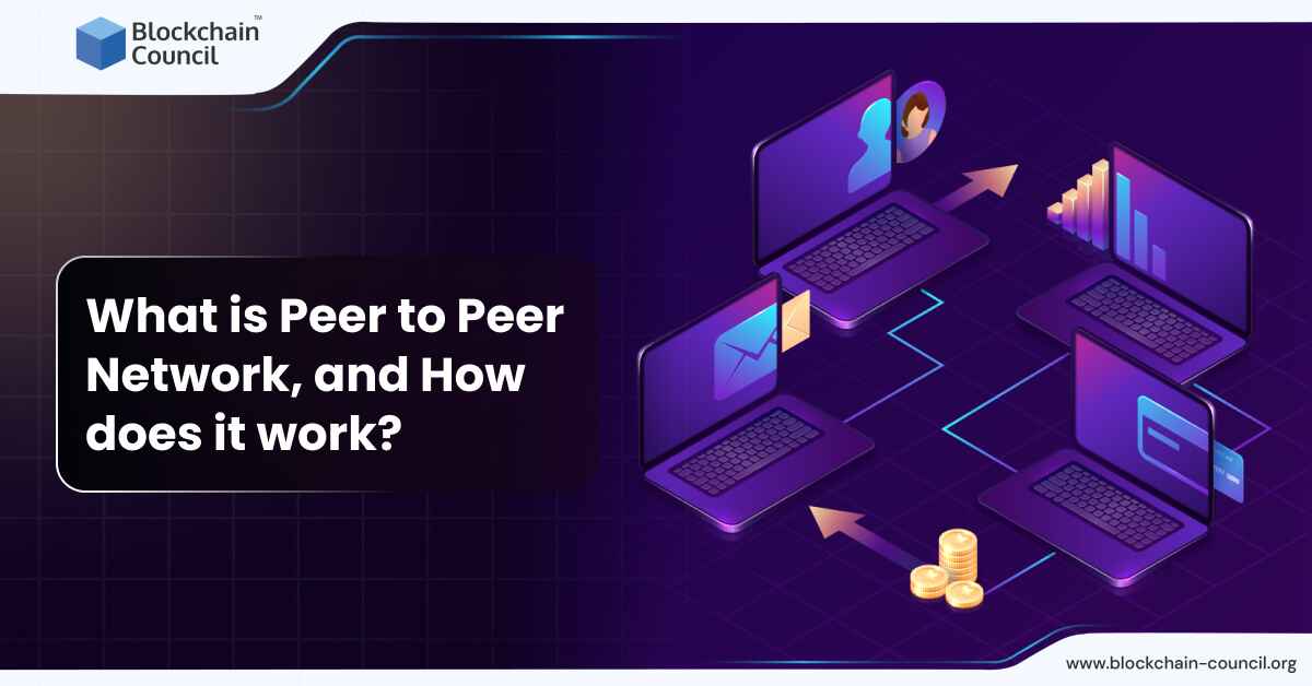 What is Peer to Peer Network, and How does it work?