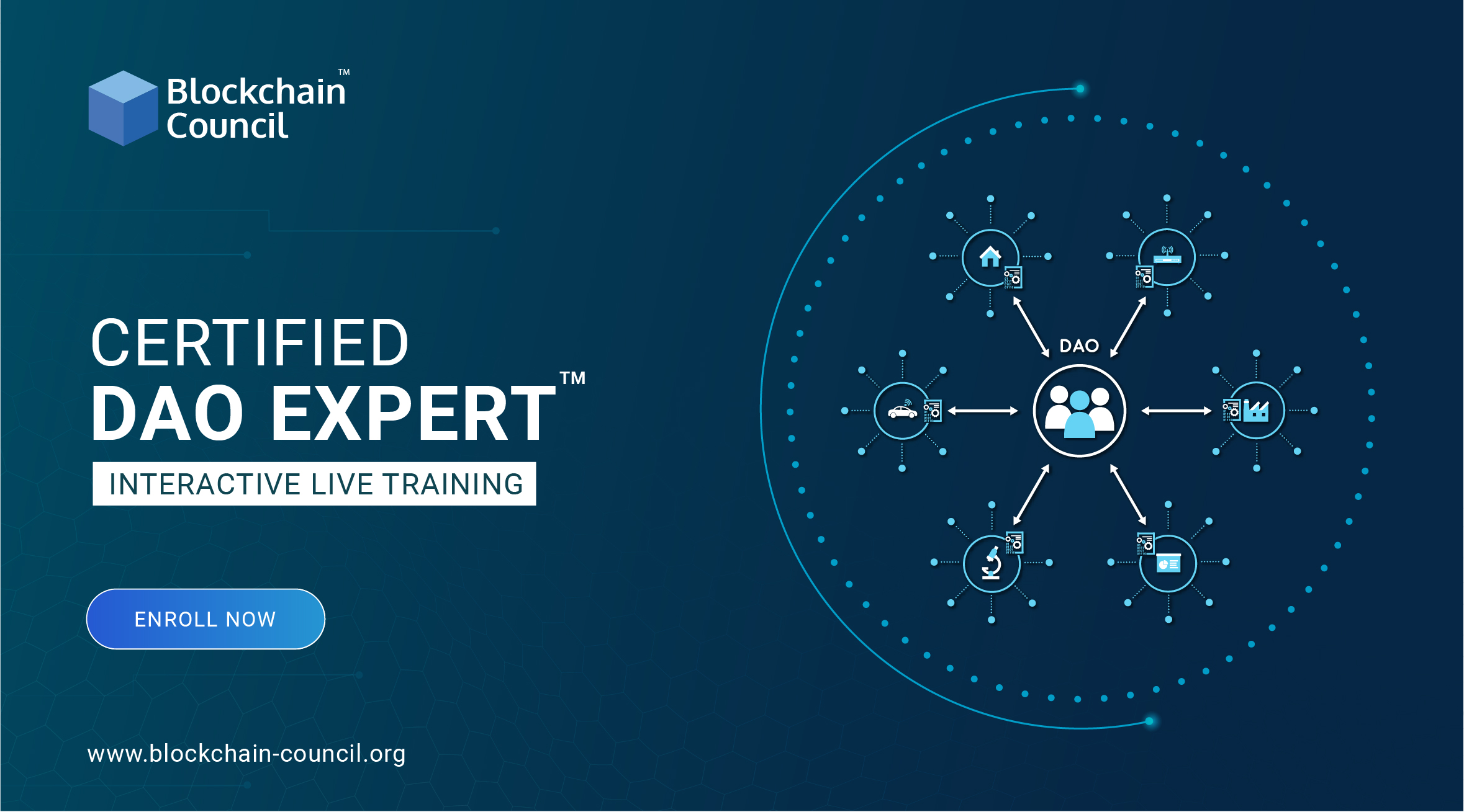 Certified DAO Expert™ – Interactive Live Training