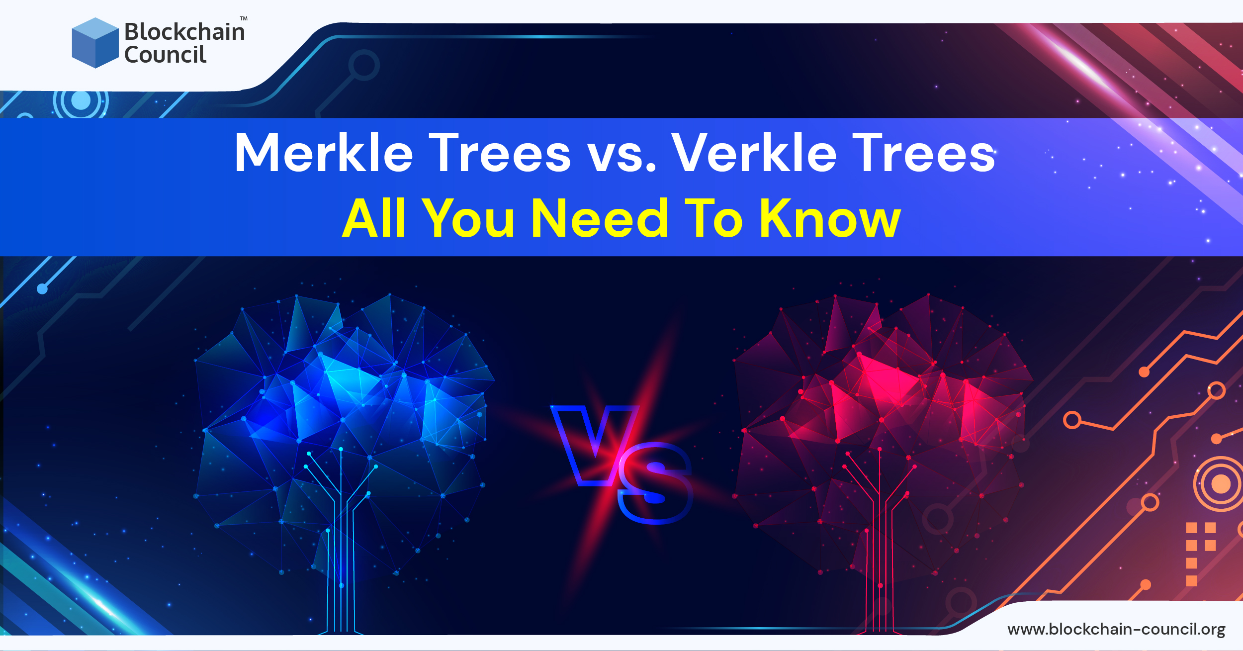 Merkle Trees vs. Verkle Trees All You Need To Know