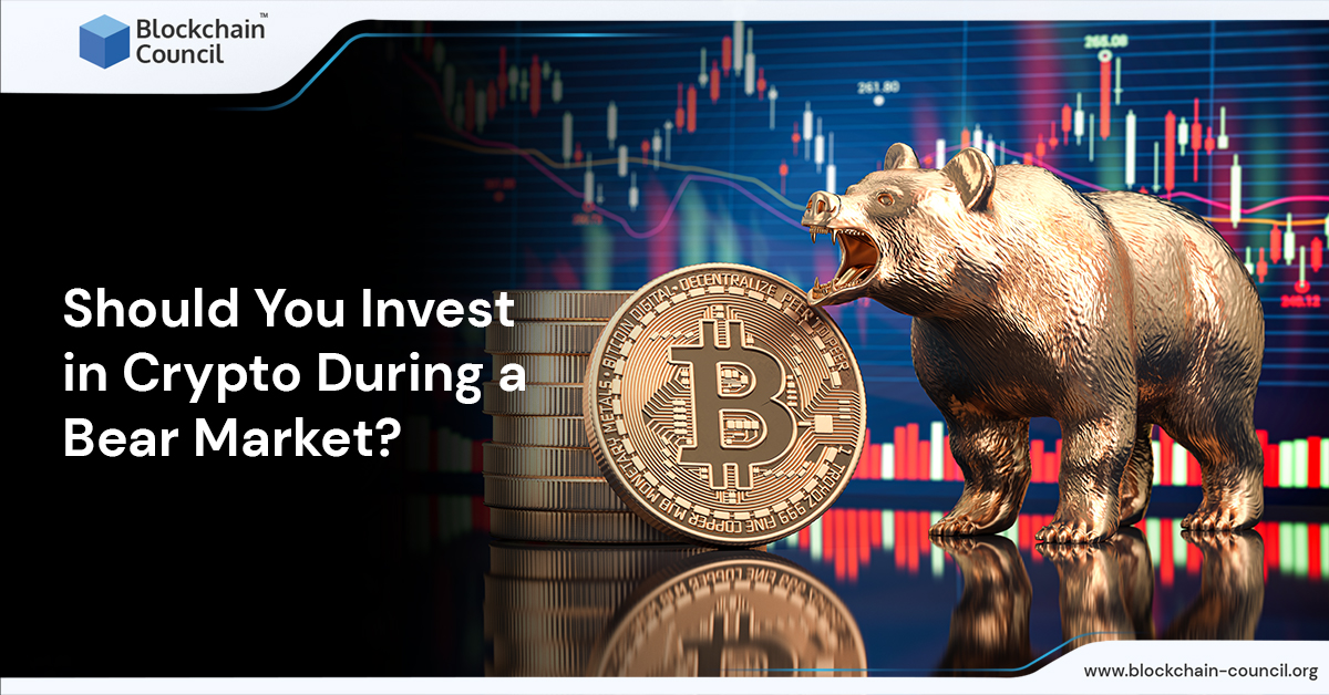 Should You Invest in Crypto During a Bear Market?