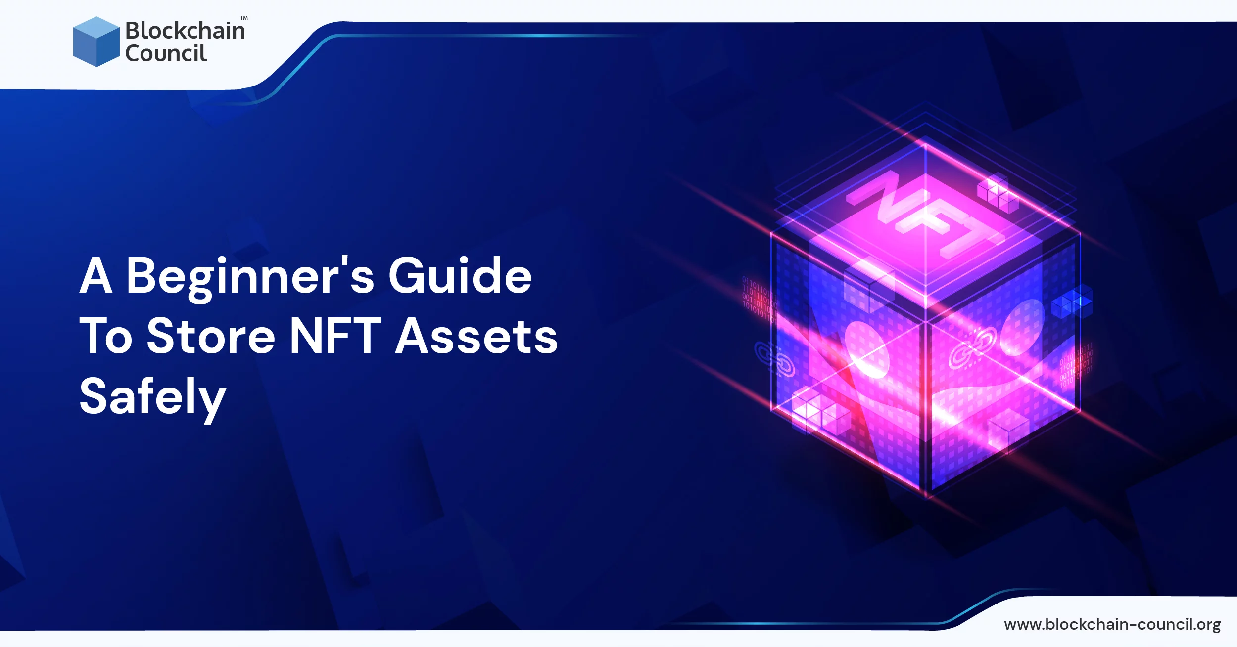 A Beginner's Guide To Store NFT Assets Safely