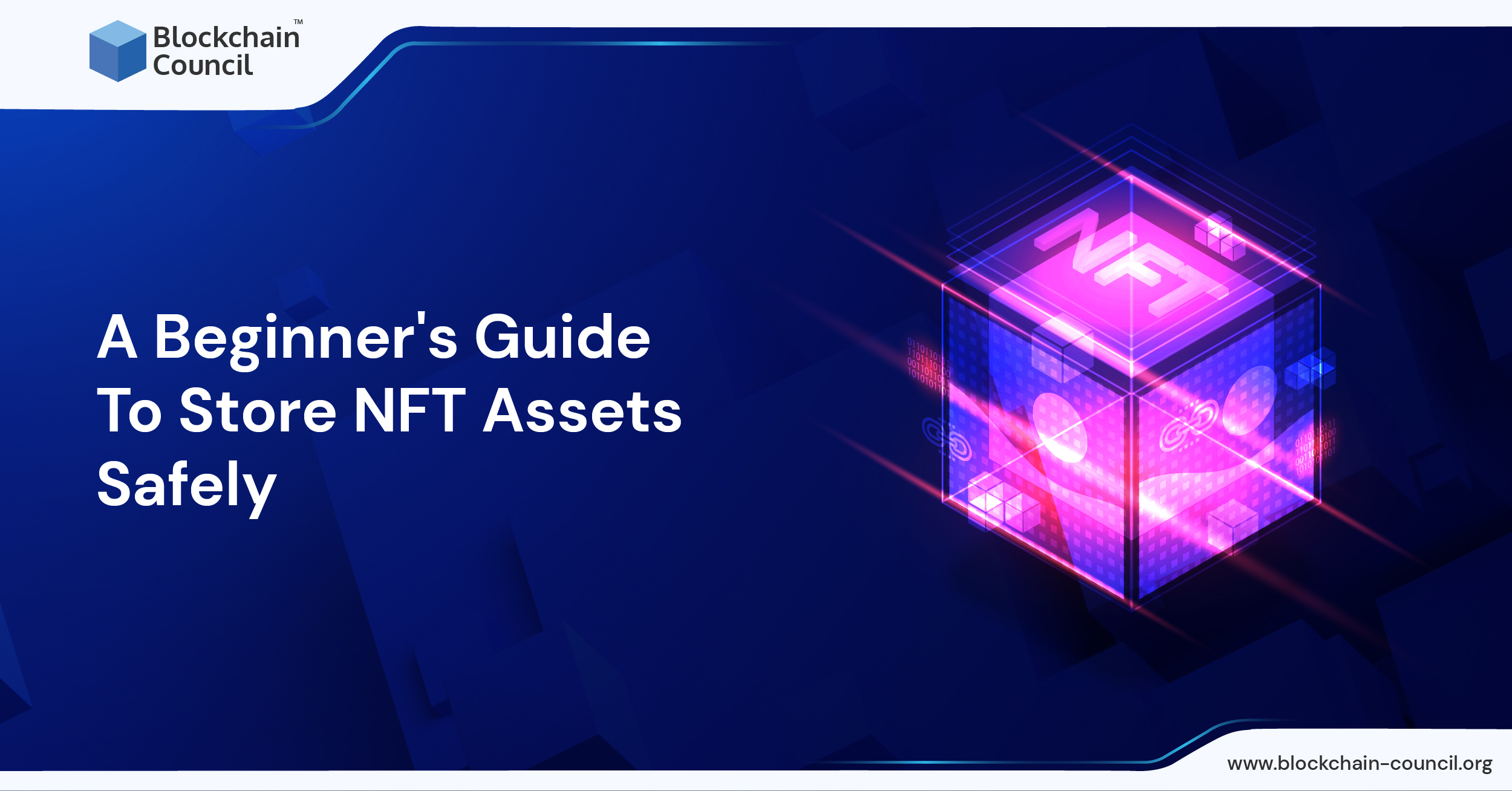 A Beginner’s Guide To Store NFT Assets Safely