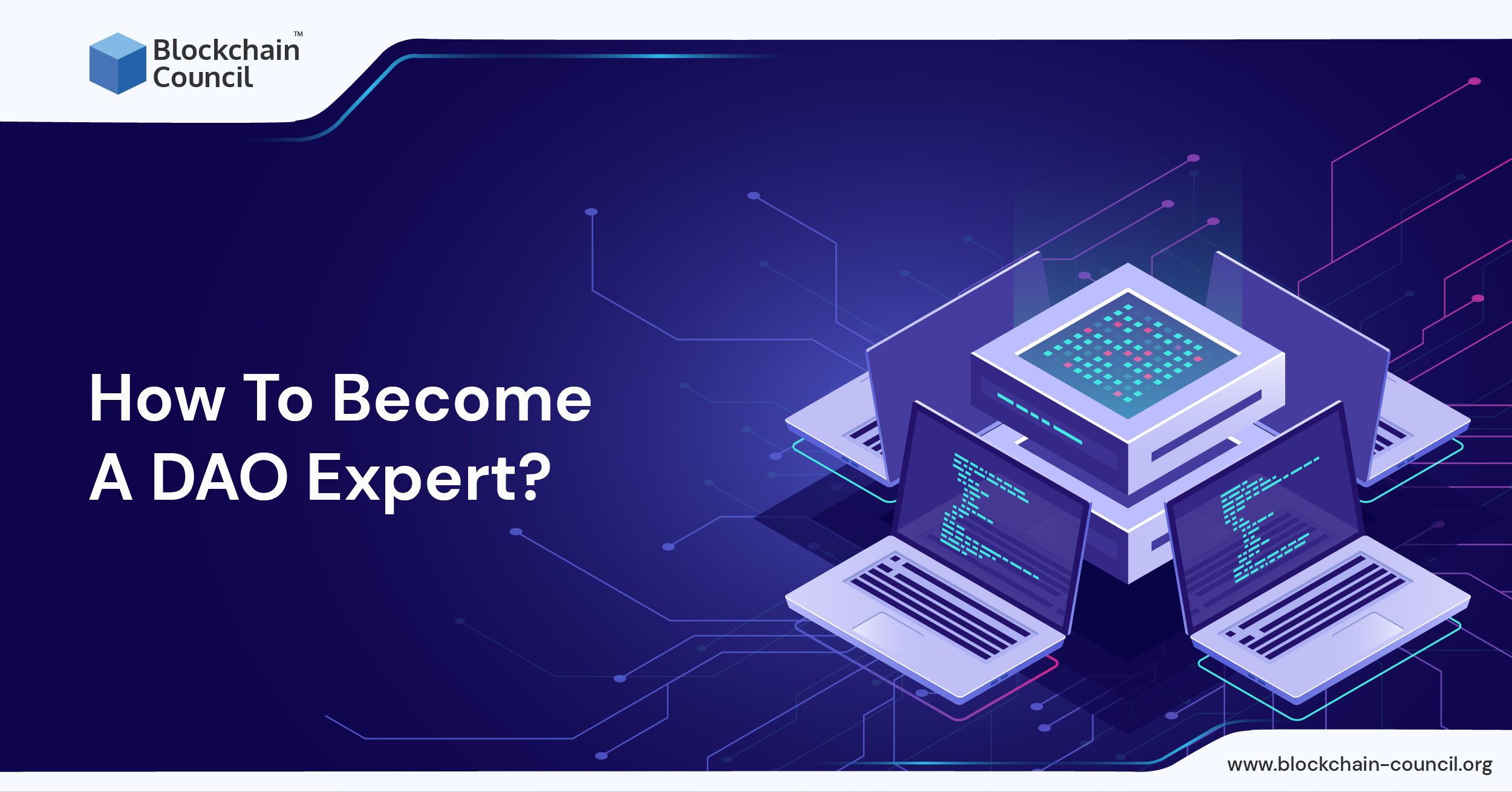 How to become a DAO Expert?