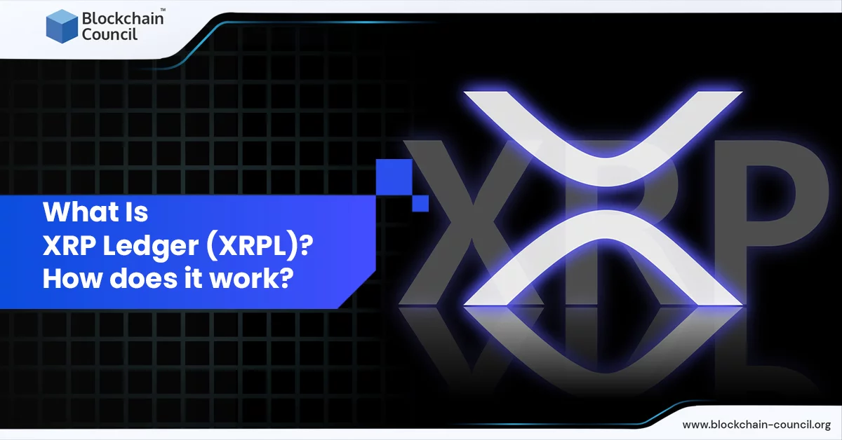 What Is XRP Ledger (XRPL) How does it work