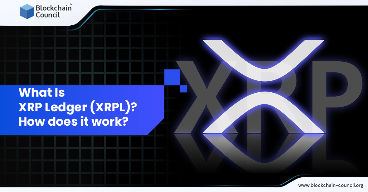 XRP Ledger XRPL Blockchain Council