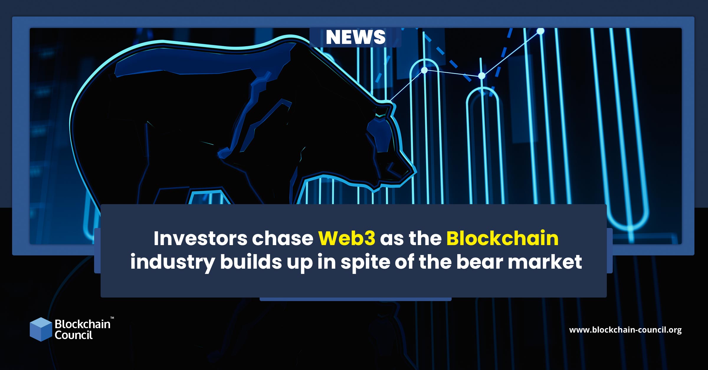 Investors chase Web3 as the Blockchain industry builds up in spite of the bear market