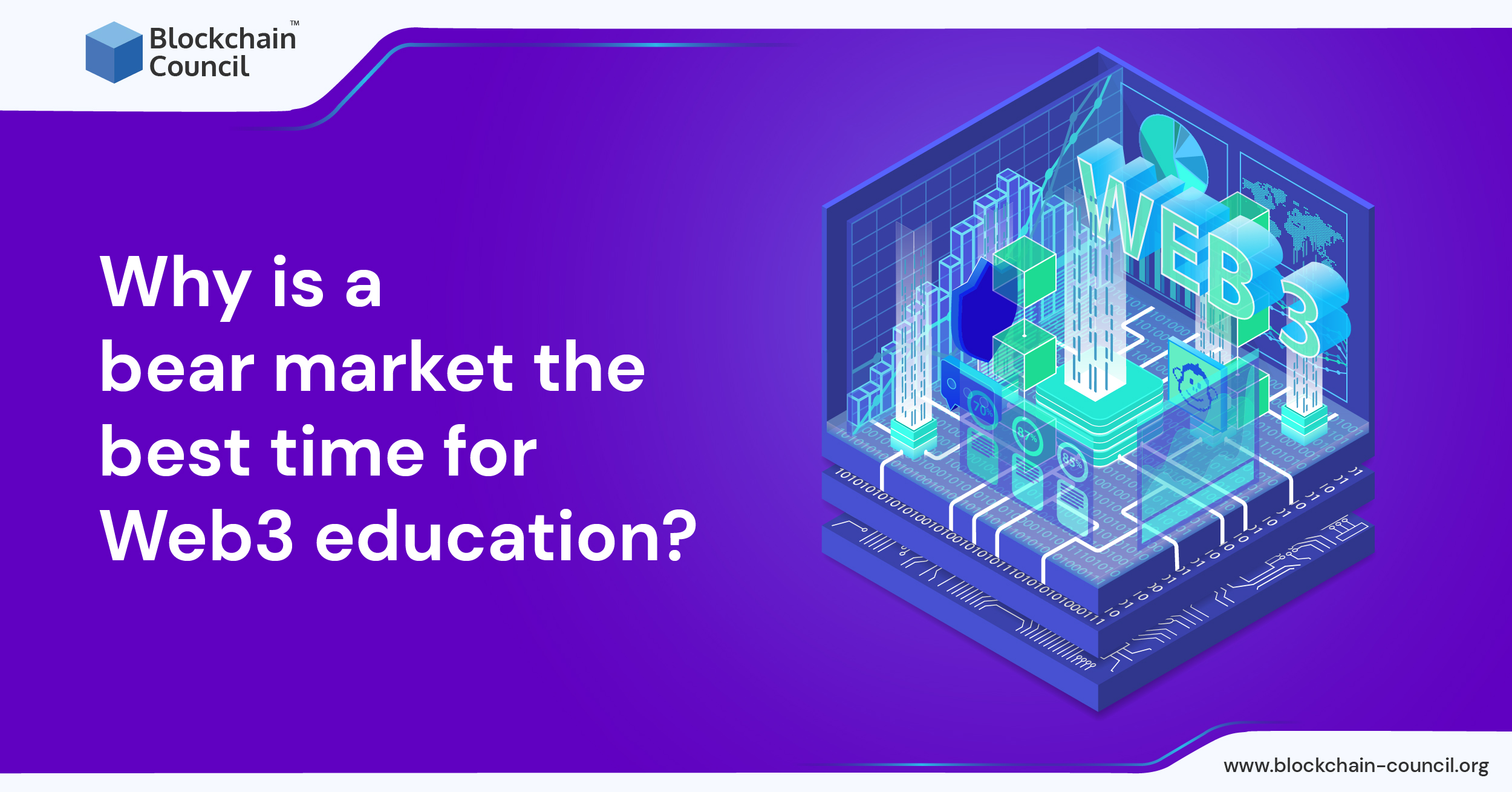 Why is a bear market the best time for Web3 education?