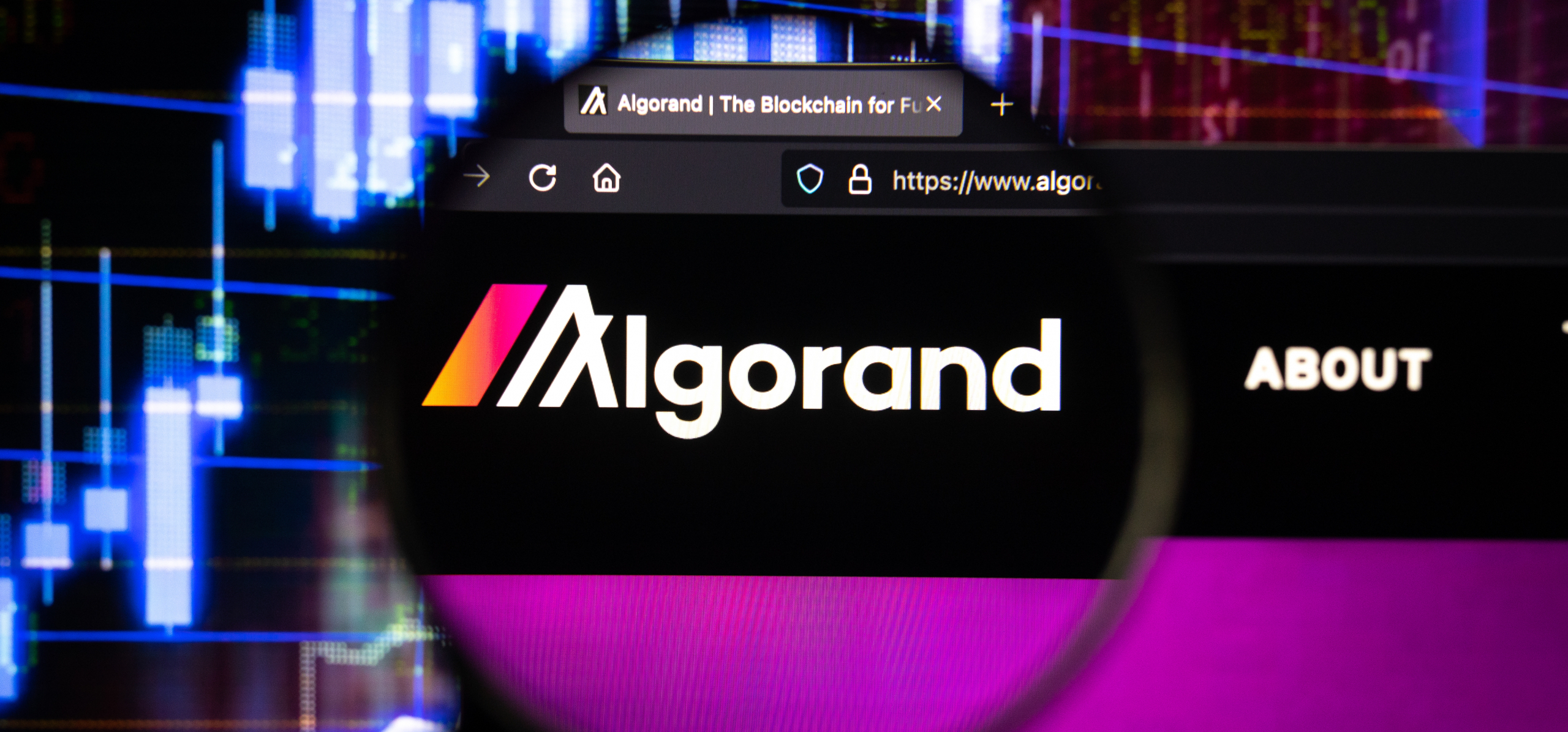 Algorand Targets Web3 Adoption in India With Major Partnerships