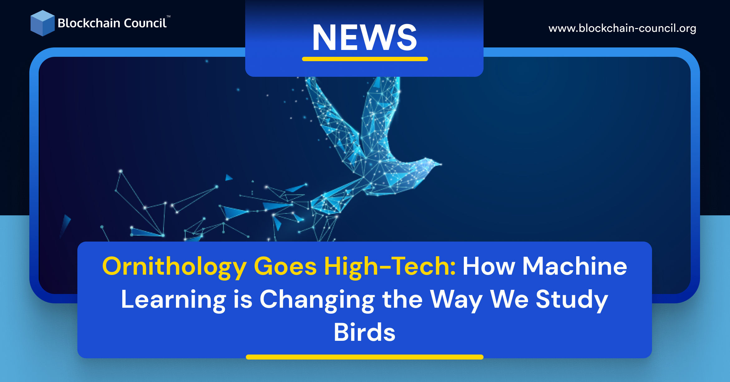 Ornithology Goes High-Tech: How Machine Learning is Changing the Way We Study Birds