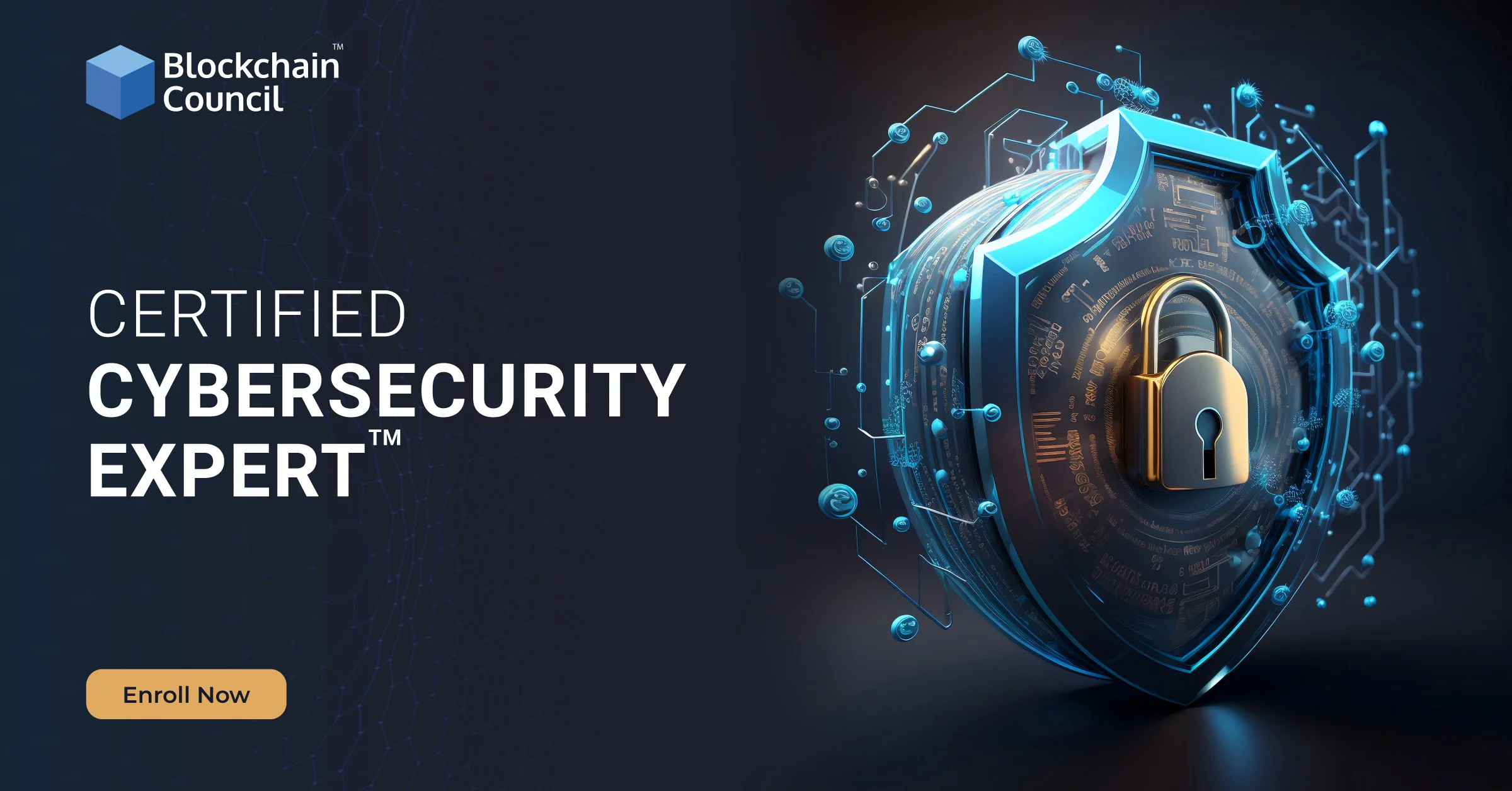 Certified Cybersecurity Expert™
