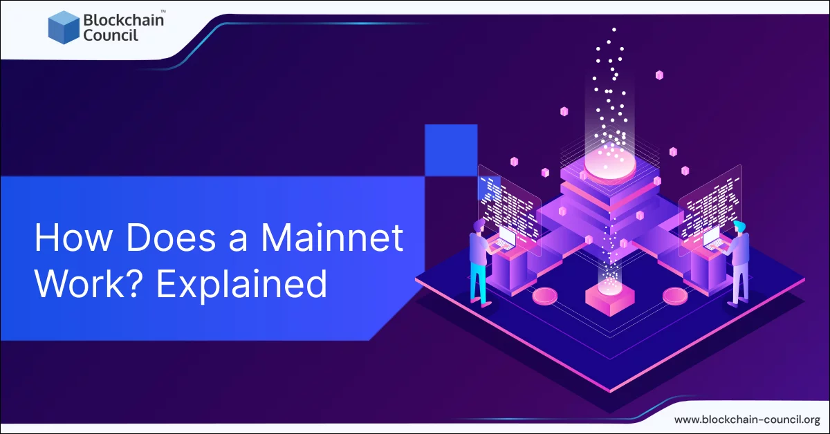How Does a Mainnet Work? Explained
