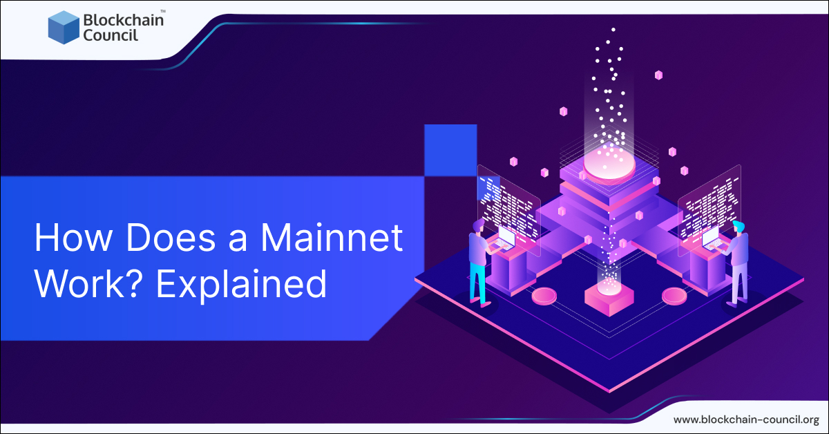 How Does a Mainnet Work? Explained