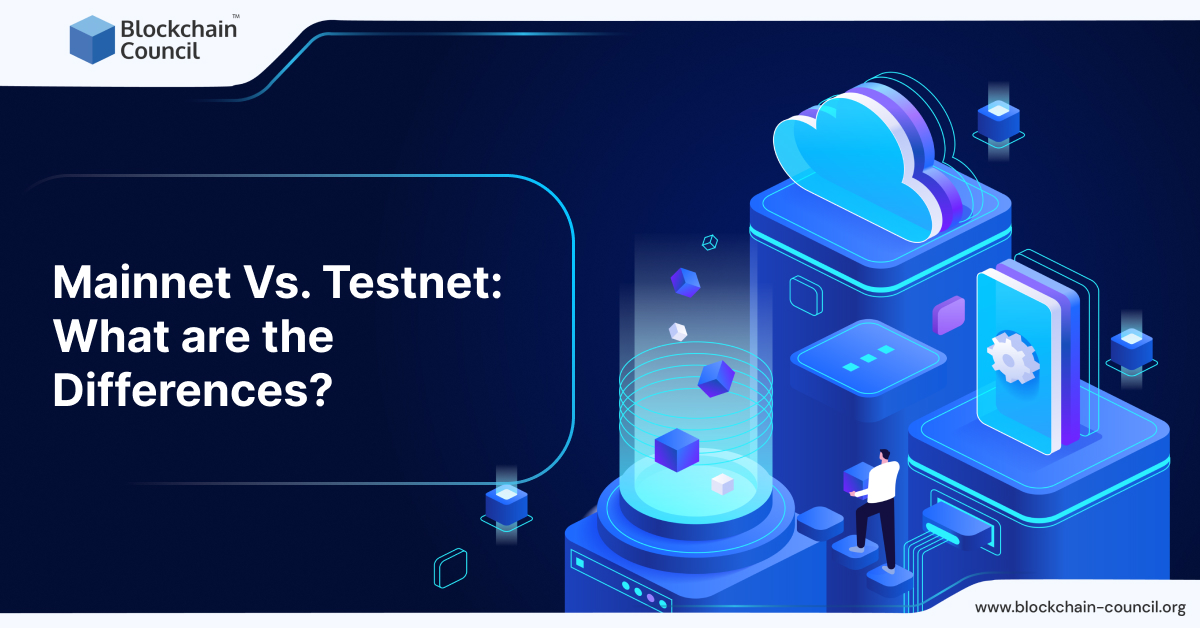Mainnet Vs. Testnet - What are the Differences?