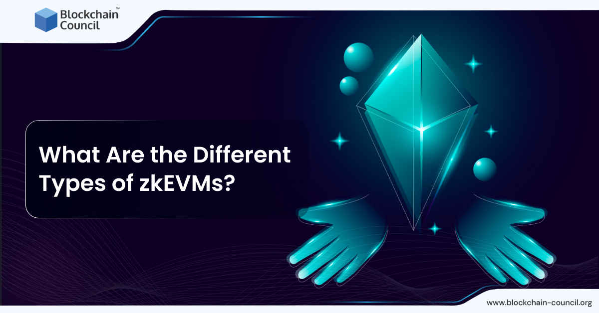 What Are the Different Types of zkEVMs?
