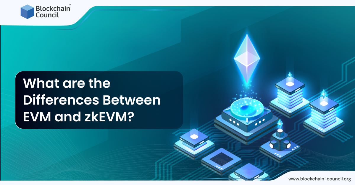 What are the Differences Between EVM and zkEVM?