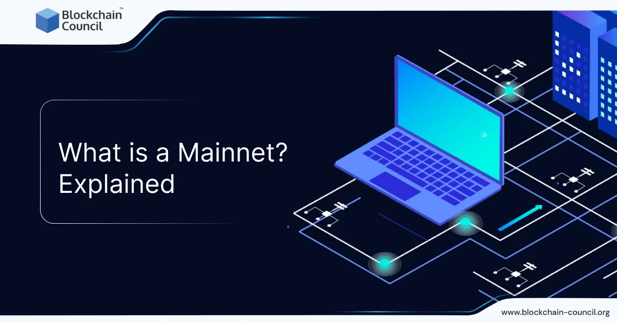 What is a Mainnet? Explained